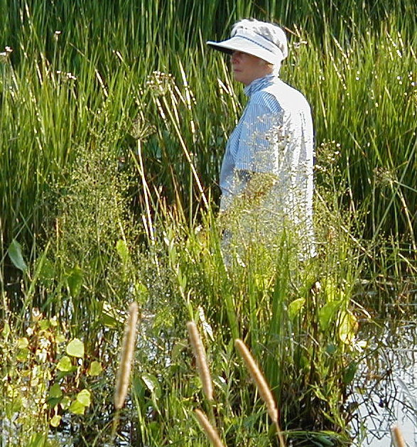 Picture of Joan Pulling Cattails
