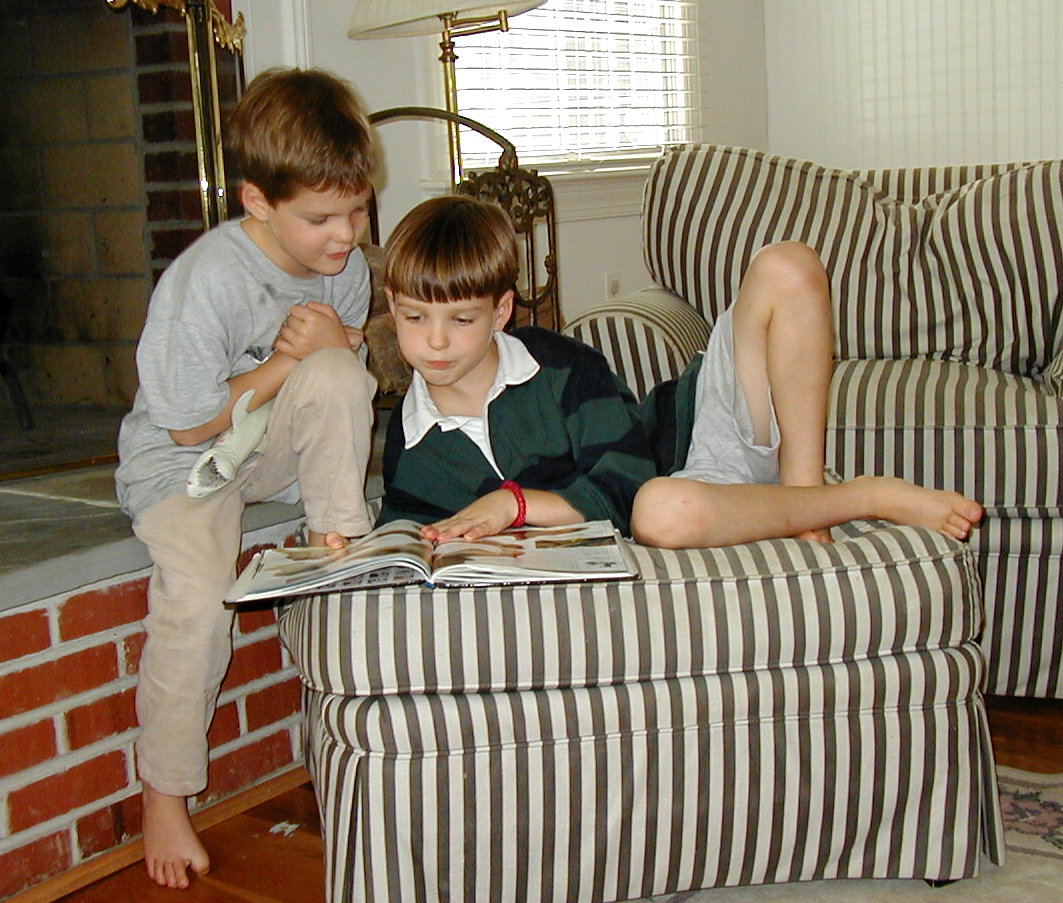 Picture of Nicholas Reading About Crocodiles with Luke